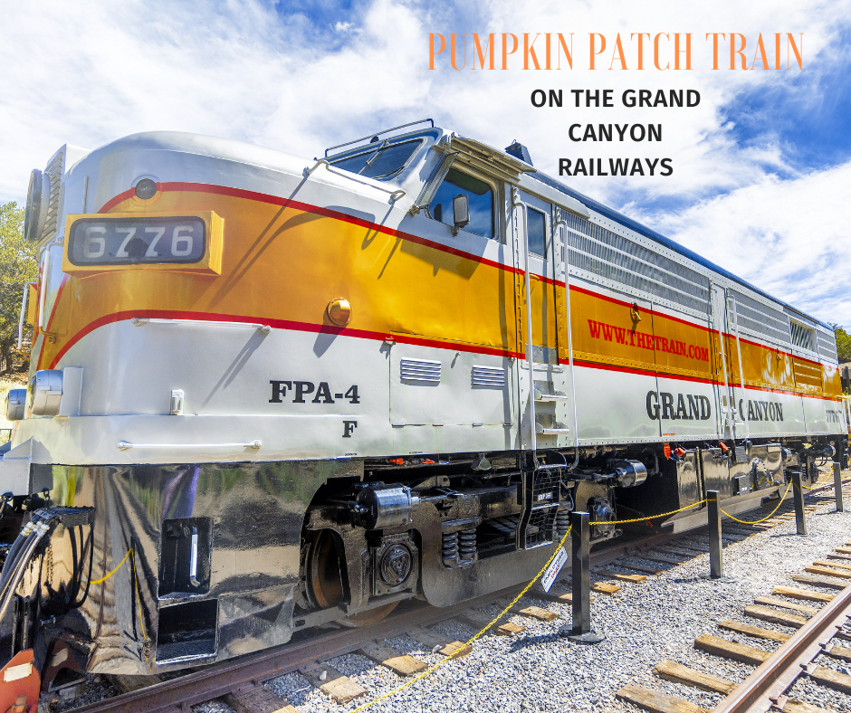 Gold Canyon Train